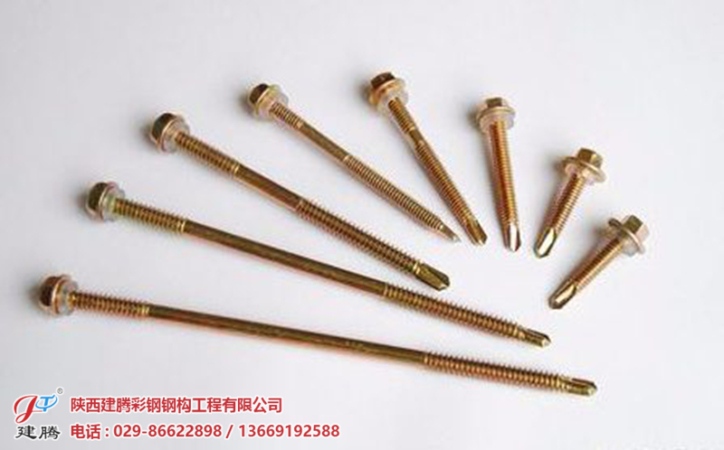 自钻丝.jpg